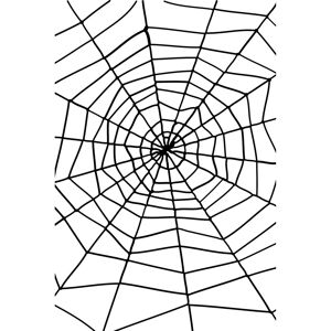 Smiffys Spider Web with Spider - Large Smiffys Spider Web with Spider - Large