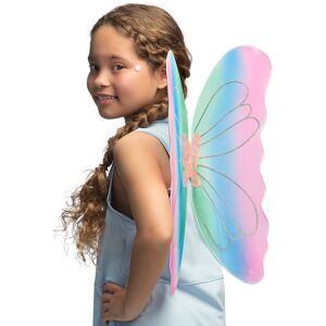 Rubies Multicolored butterfly wings Rubies Multicolored butterfly wings
