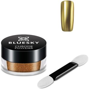 Bluesky Chrome Nail Powder Kit With Applicator Brush Metallic Gel Nail Art Gold 5g Bluesky Chrome Nail Powder Kit With Applicator Brush Metallic Gel Nail Art Gold 5g