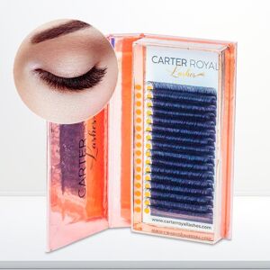 GENERIC Carter Royal Russian Volume Silk Lashes Individual Eyelash Extensions Ultra-ligh GENERIC Carter Royal Russian Volume Silk Lashes Individual Eyelash Extensions Ultra-ligh