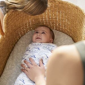 Aden + Anais Outdoors Swaddle Blanket - Pack of 4 Large 100% Breathable Muslin Cotton Swadd Aden + Anais Outdoors Swaddle Blanket - Pack of 4 Large 100% Breathable Muslin Cotton Swadd