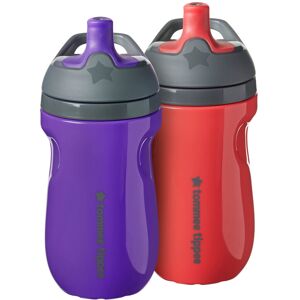 Tommee Tippee Insulated Sportee Water Bottle for Toddlers, Spill-Proof, 260ml, 1 Tommee Tippee Insulated Sportee Water Bottle for Toddlers, Spill-Proof, 260ml, 1