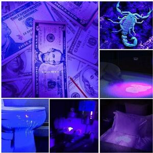 Unbranded 21-LED UV Black Light Flashlight for Pet Urine Stains, Currency Authentication & Unbranded 21-LED UV Black Light Flashlight for Pet Urine Stains, Currency Authentication &