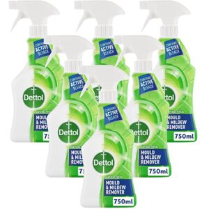 Dettol Mould and Mildew Remover Spray, 750 ml – Powerful Bleach for Mould and Mi Dettol Mould and Mildew Remover Spray, 750 ml – Powerful Bleach for Mould and Mi