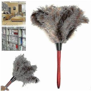 Kikidex (As show, One size) Anti Static Genuine Ostrich Feather Duster 32cm Wooden Handl Kikidex (As show, One size) Anti Static Genuine Ostrich Feather Duster 32cm Wooden Handl