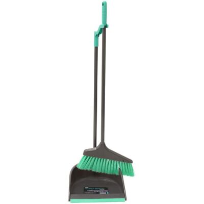 Unbranded Long Handle Dustpan and Bristle Brush Set Unbranded Long Handle Dustpan and Bristle Brush Set