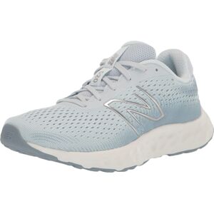 New Balance Women's 520 V8 Running Shoe Ice Blue/Ice Blue 7 Wide New Balance Women's 520 V8 Running Shoe Ice Blue/Ice Blue 7 Wide