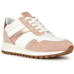(7 UK, Nude/White) Geox Womens/Ladies Tabelya Leather Trainers (7 UK, Nude/White) Geox Womens/Ladies Tabelya Leather Trainers