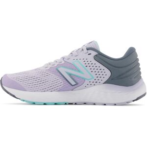 New Balance Women's 520 V7 Running Shoe Grey/Grey 5 Wide New Balance Women's 520 V7 Running Shoe Grey/Grey 5 Wide