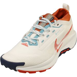 (7.5) Nike Pegasus Trail 5 Gore-tex Mens Fashion Trainers in Phantom (7.5) Nike Pegasus Trail 5 Gore-tex Mens Fashion Trainers in Phantom