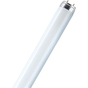 Osram Fluorescent Light L 30 Watt 865 Daylight 30 W Osram Fluorescent Light L 30 Watt 865 Daylight 30 W