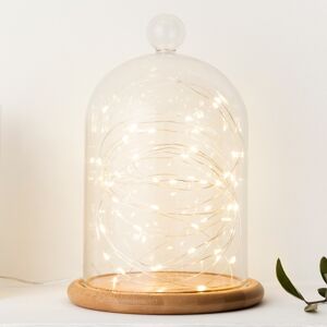 Lights4fun Battery Operated Fairy Lights with 50 Micro Warm White LEDs on Silver Wire Lights4fun Battery Operated Fairy Lights with 50 Micro Warm White LEDs on Silver Wire