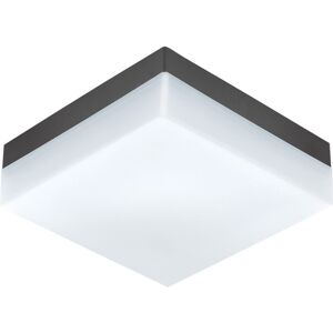 Loops IP44 Outdoor Wall Light Anthracite Plastic 8.2W Built-in LED Porch Lamp - Outdoor Wall Light Loops IP44 Outdoor Wall Light Anthracite Plastic 8.2W Built-in LED Porch Lamp - Outdoor Wall Light