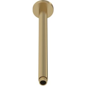 Balterley Round Ceiling Mount Shower Arm - 300mm - Brushed Brass Balterley Round Ceiling Mount Shower Arm - 300mm - Brushed Brass