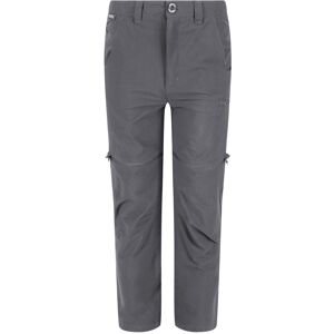 (5-6 Years, Seal Grey) Regatta Childrens/Kids Highton Stretch Zip-Off Walking Tr (5-6 Years, Seal Grey) Regatta Childrens/Kids Highton Stretch Zip-Off Walking Tr