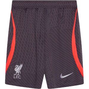 Nike Liverpool Strike Training Shorts - Kids Grey Nike Liverpool Strike Training Shorts - Kids Grey