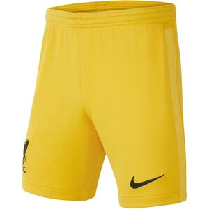 Nike (MB) Liverpool 2021-2022 Home Goalkeeper Shorts (Gold) - Kids Nike (MB) Liverpool 2021-2022 Home Goalkeeper Shorts (Gold) - Kids