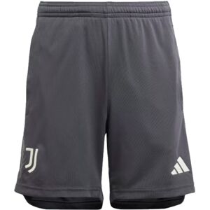 adidas (XLB) 2023-2024 Juventus Third Shorts (Carbon) - Kids adidas (XLB) 2023-2024 Juventus Third Shorts (Carbon) - Kids