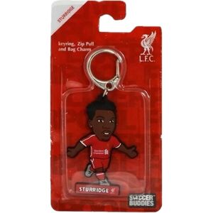 Official LIVERPOOL FC PVC player shape "DANIEL STURRIDGE" KEYRING Official LIVERPOOL FC PVC player shape "DANIEL STURRIDGE" KEYRING