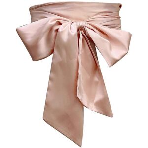Unbranded (Pink) Ribbon Waist Band 250cm Long 9.5cm Wide Dress Belt Long Ribbon Sash Wide Unbranded (Pink) Ribbon Waist Band 250cm Long 9.5cm Wide Dress Belt Long Ribbon Sash Wide