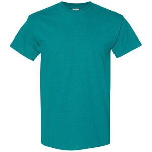 (S, Antique Jade Dome) Gildan Mens Heavy Cotton Short Sleeve T-Shirt (S, Antique Jade Dome) Gildan Mens Heavy Cotton Short Sleeve T-Shirt