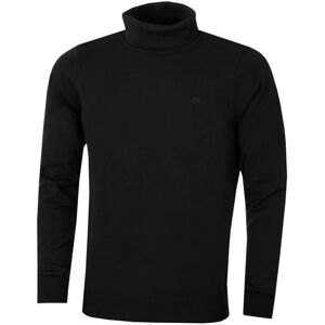 (L, Black) Calvin Klein Mens 2021 CK Roll Neck Rib Knit Warm Durable Sweater (L, Black) Calvin Klein Mens 2021 CK Roll Neck Rib Knit Warm Durable Sweater
