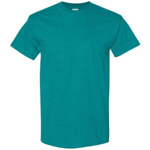 (2XL, Antique Jade Dome) Gildan Mens Heavy Cotton Short Sleeve T-Shirt (2XL, Antique Jade Dome) Gildan Mens Heavy Cotton Short Sleeve T-Shirt