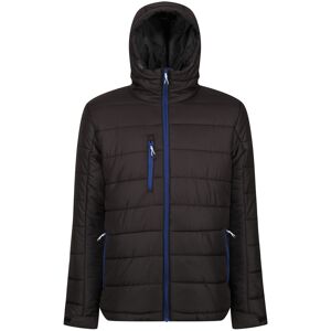 (M, Black/New Royal) Regatta Mens Navigate Thermal Padded Jacket (M, Black/New Royal) Regatta Mens Navigate Thermal Padded Jacket