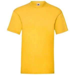 (3XL, Sunflower) Fruit of the Loom Mens Valueweight T-Shirt (3XL, Sunflower) Fruit of the Loom Mens Valueweight T-Shirt