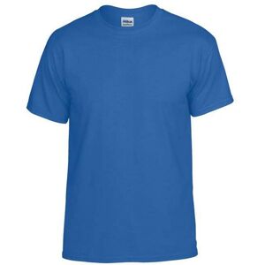 (XXL, Royal Blue) Gildan Mens Plain Lightweight T-Shirt (XXL, Royal Blue) Gildan Mens Plain Lightweight T-Shirt