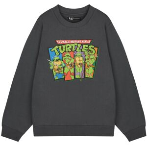 (Large) Teenage Mutant Ninja Turtles Sweatshirt (Mens Grey) (Large) Teenage Mutant Ninja Turtles Sweatshirt (Mens Grey)