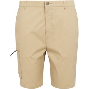 (38R, Oat) Regatta Mens Dalry Multi Pocket Shorts (38R, Oat) Regatta Mens Dalry Multi Pocket Shorts