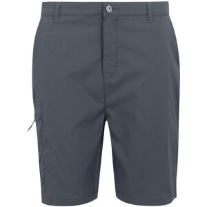 (40R, Seal Grey) Regatta Mens Dalry Multi Pocket Shorts (40R, Seal Grey) Regatta Mens Dalry Multi Pocket Shorts