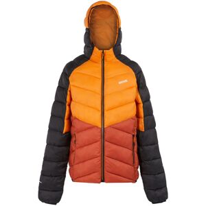 (S, Fox/Red Ochre) Regatta Mens Dalent Hooded Insulated Jacket (S, Fox/Red Ochre) Regatta Mens Dalent Hooded Insulated Jacket