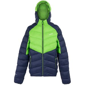 (XXL, Green Flash/Navy) Regatta Mens Dalent Hooded Insulated Jacket (XXL, Green Flash/Navy) Regatta Mens Dalent Hooded Insulated Jacket