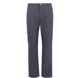 (34L, Seal Grey) Regatta Mens Dalry Multi Pocket Trousers (34L, Seal Grey) Regatta Mens Dalry Multi Pocket Trousers