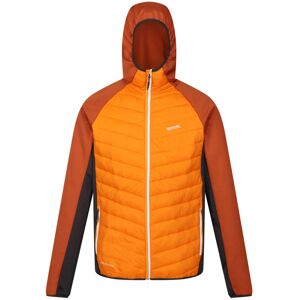 (S, Orange Pepper/Burnt Copper) Regatta Mens Andreson VIII Hybrid Jacket (S, Orange Pepper/Burnt Copper) Regatta Mens Andreson VIII Hybrid Jacket
