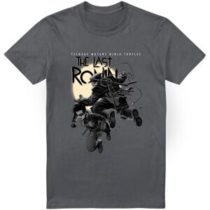 (XL, Charcoal) Teenage Mutant Ninja Turtles Mens Casey Jones Leaping T-Shirt (XL, Charcoal) Teenage Mutant Ninja Turtles Mens Casey Jones Leaping T-Shirt
