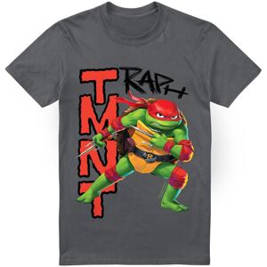 (3XL, Charcoal) Teenage Mutant Ninja Turtles Mens Mutant Mayhem Raphael T-Shirt (3XL, Charcoal) Teenage Mutant Ninja Turtles Mens Mutant Mayhem Raphael T-Shirt