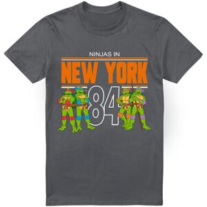 (XL, Charcoal) Teenage Mutant Ninja Turtles Mens TMNT NYC T-Shirt (XL, Charcoal) Teenage Mutant Ninja Turtles Mens TMNT NYC T-Shirt