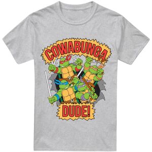 (3XL, Sport Heather) Teenage Mutant Ninja Turtles Mens Cowabunga Dude T-Shirt (3XL, Sport Heather) Teenage Mutant Ninja Turtles Mens Cowabunga Dude T-Shirt