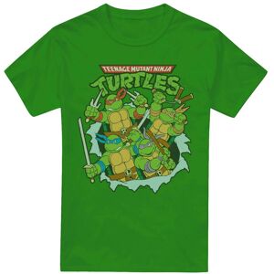(4XL, Kelly Green) Teenage Mutant Ninja Turtles Mens Retro Group T-Shirt (4XL, Kelly Green) Teenage Mutant Ninja Turtles Mens Retro Group T-Shirt
