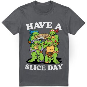 (4XL, Charcoal) Teenage Mutant Ninja Turtles Mens Have A Slice Day T-Shirt (4XL, Charcoal) Teenage Mutant Ninja Turtles Mens Have A Slice Day T-Shirt