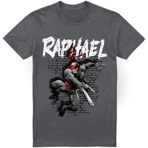 (XL, Charcoal) Teenage Mutant Ninja Turtles Mens Raphael T-Shirt (XL, Charcoal) Teenage Mutant Ninja Turtles Mens Raphael T-Shirt