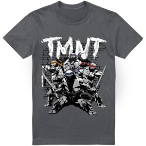 (3XL, Charcoal) Teenage Mutant Ninja Turtles Mens TMNT Team T-Shirt (3XL, Charcoal) Teenage Mutant Ninja Turtles Mens TMNT Team T-Shirt