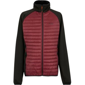 (L, Dark Maroon/Black) Regatta Mens Clumber Hybrid Jacket (L, Dark Maroon/Black) Regatta Mens Clumber Hybrid Jacket