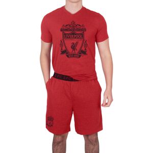 (Red Marl, Large) Liverpool FC Mens Pyjamas Short Loungewear OFFICIAL Football G (Red Marl, Large) Liverpool FC Mens Pyjamas Short Loungewear OFFICIAL Football G