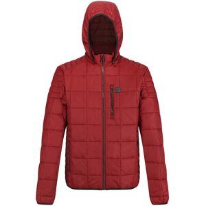 (L, Spiced Apple) Regatta Mens Danar Water Repellent Warmloft Hooded Jacket (L, Spiced Apple) Regatta Mens Danar Water Repellent Warmloft Hooded Jacket