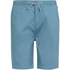 (32R, Coronet Blue) Regatta Mens Aldan Chino Shorts (32R, Coronet Blue) Regatta Mens Aldan Chino Shorts
