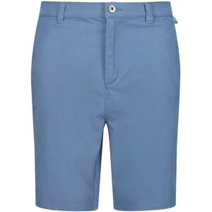 (32R, Coronet Blue) Regatta Mens Sabden Chino Shorts (32R, Coronet Blue) Regatta Mens Sabden Chino Shorts